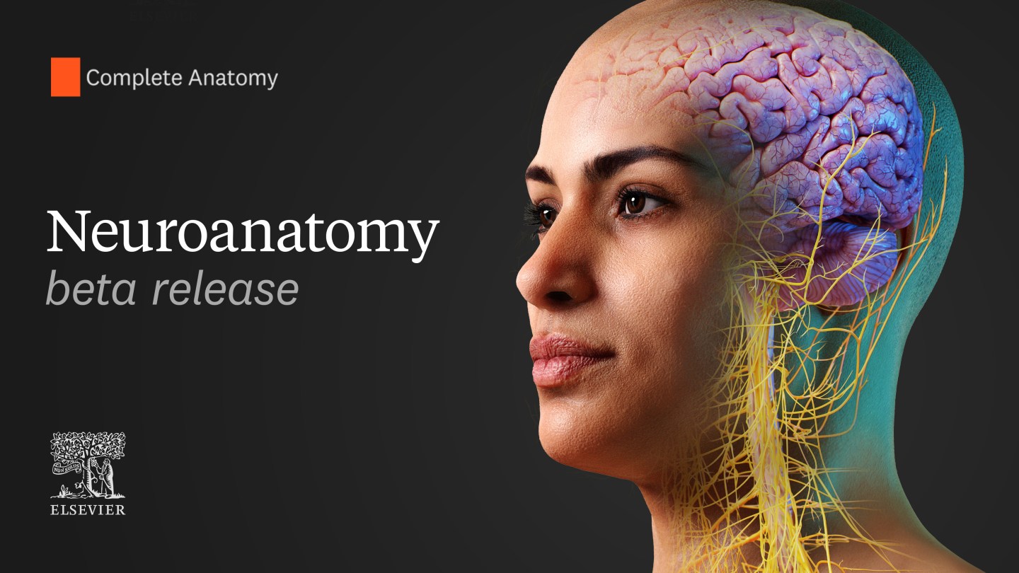 Now live: Explore the Complete Anatomy Brain Beta