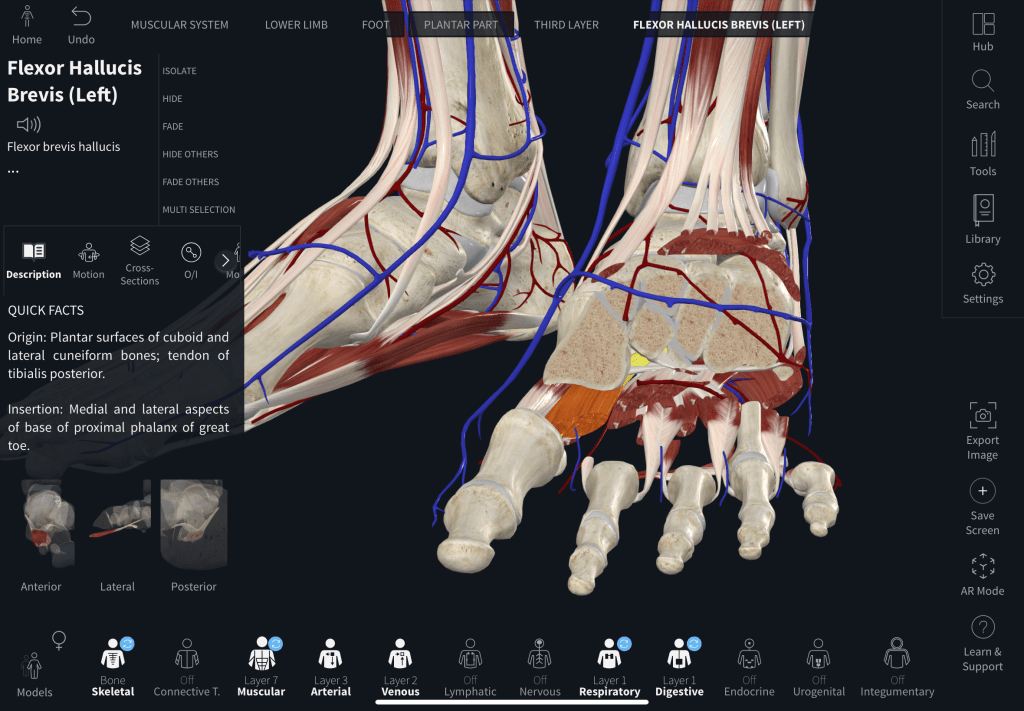Complete-Anatomy-3D-Model