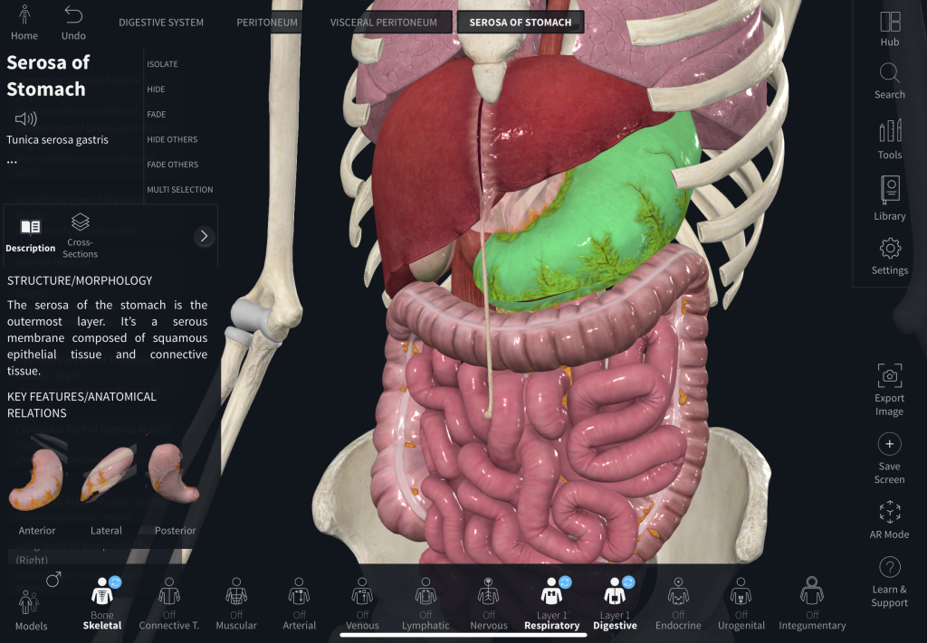 Complete-Anatomy-Organ-systems