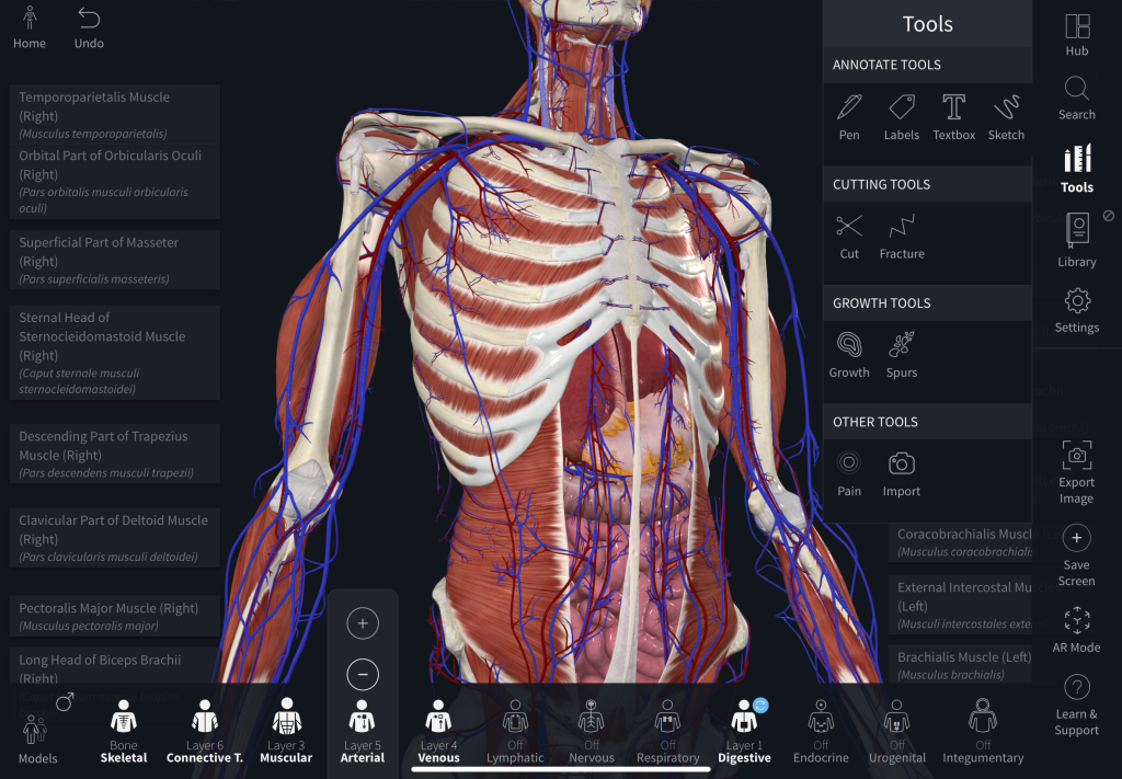 3D-Anatomy-Education-Complete-Anatomy