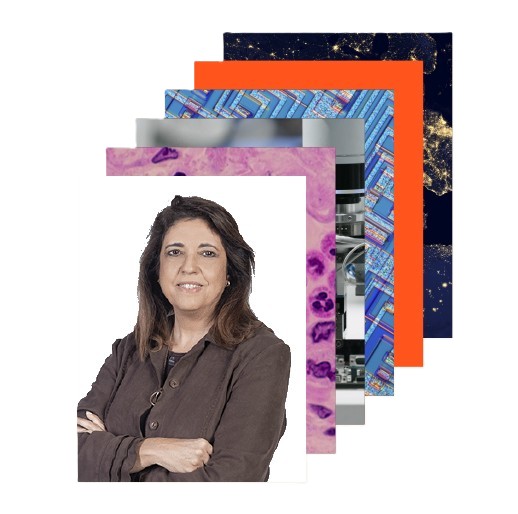 Innovación y contenido actualizado