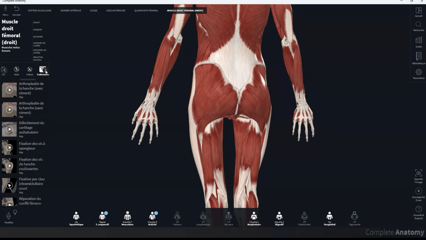 Webinar sur Complete Anatomy : maîtrisez l’outil incontournable pour l’enseignement en kinésithérapie