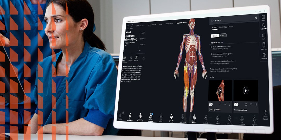 Anatomie fonctionnelle en IFMK : comment enseigner le corps en mouvement
